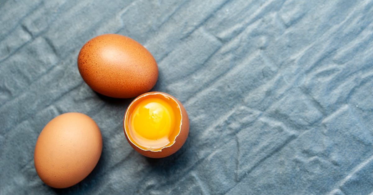 卵の黄身が双子である確率は？二黄卵の謎に迫る